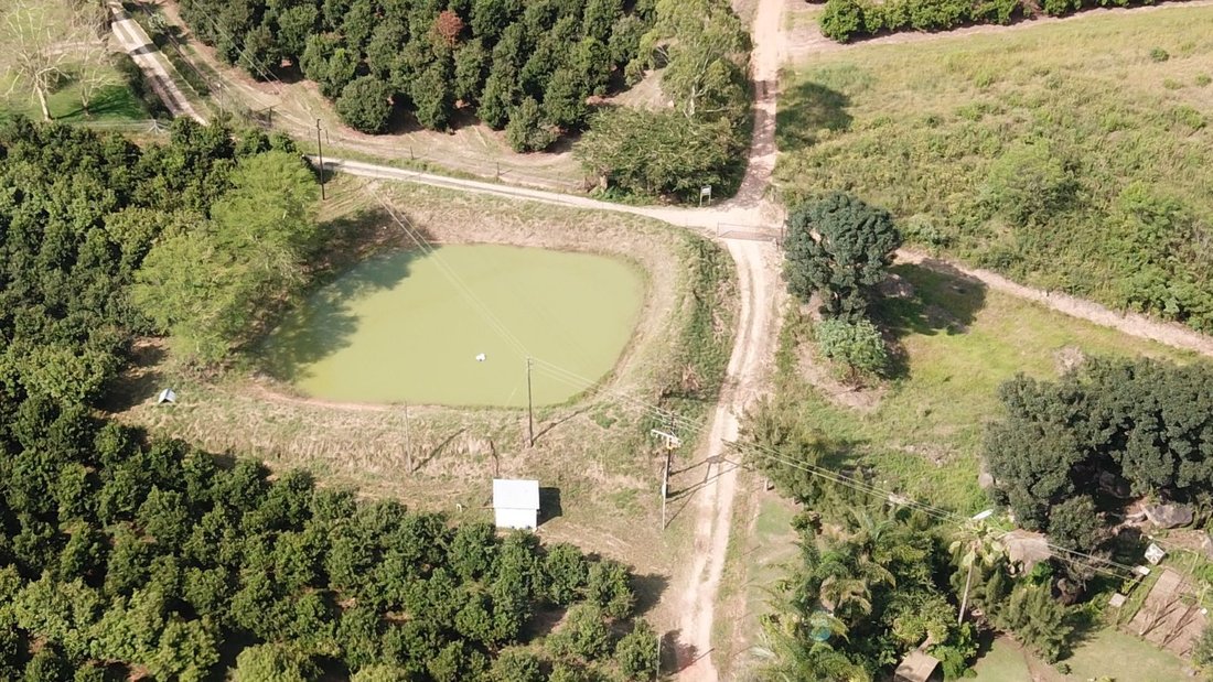 Farm Ranch in Johannesburg, Gauteng, South Africa 4 - 17324716