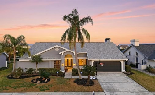 Haus in Tampa, Florida, Vereinigte Staaten 1