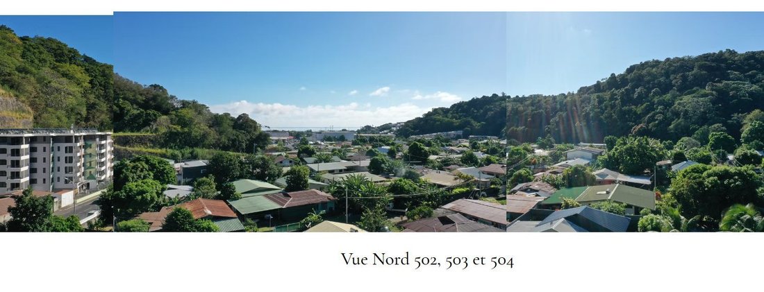 Apartment in Pape'ete, Windward Islands, French Polynesia 2 - 16401603