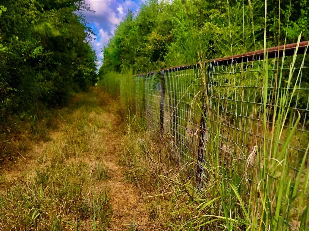 Farm Ranch in Cleveland, Texas, United States 3 - 17324762