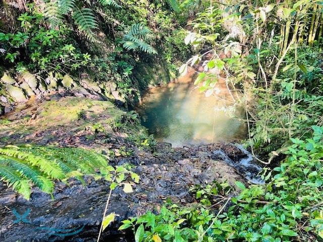 Terreno a Lares, Lares, Porto Rico 1 - 17325001