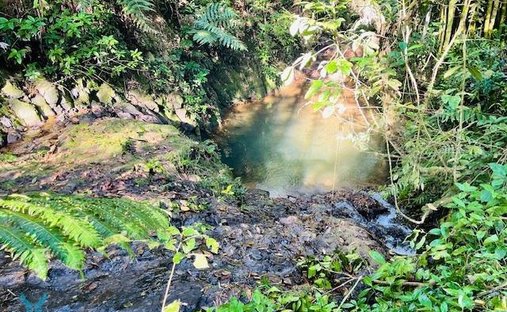 Land in Lares, Lares, Puerto Rico 1