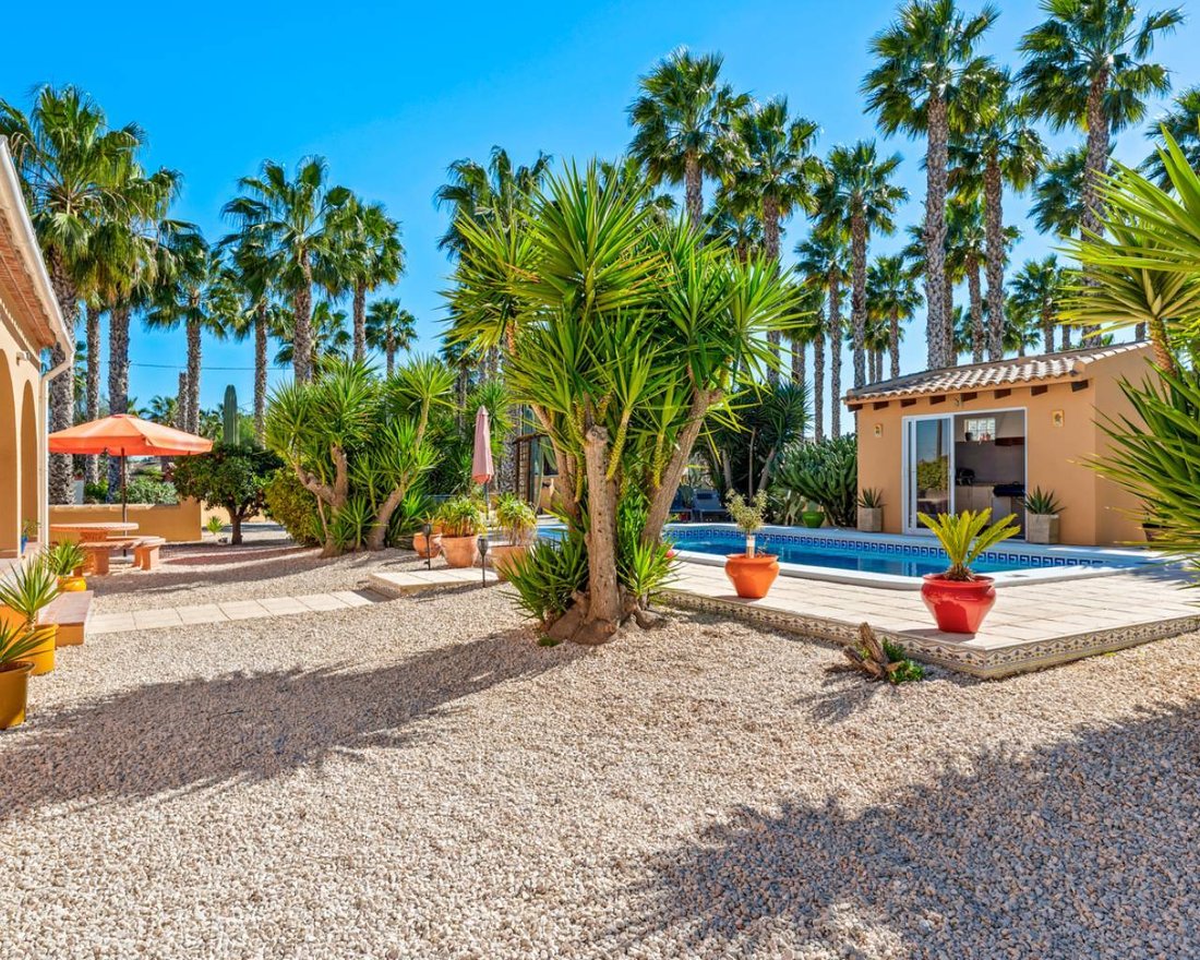 Finca in Almoradi, Valencian Community, Spain 5 - 17325228