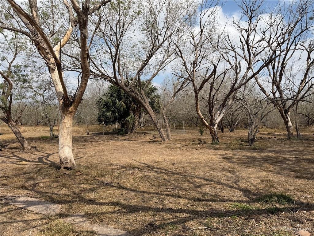 House in Harlingen, Texas, United States 4 - 17326059