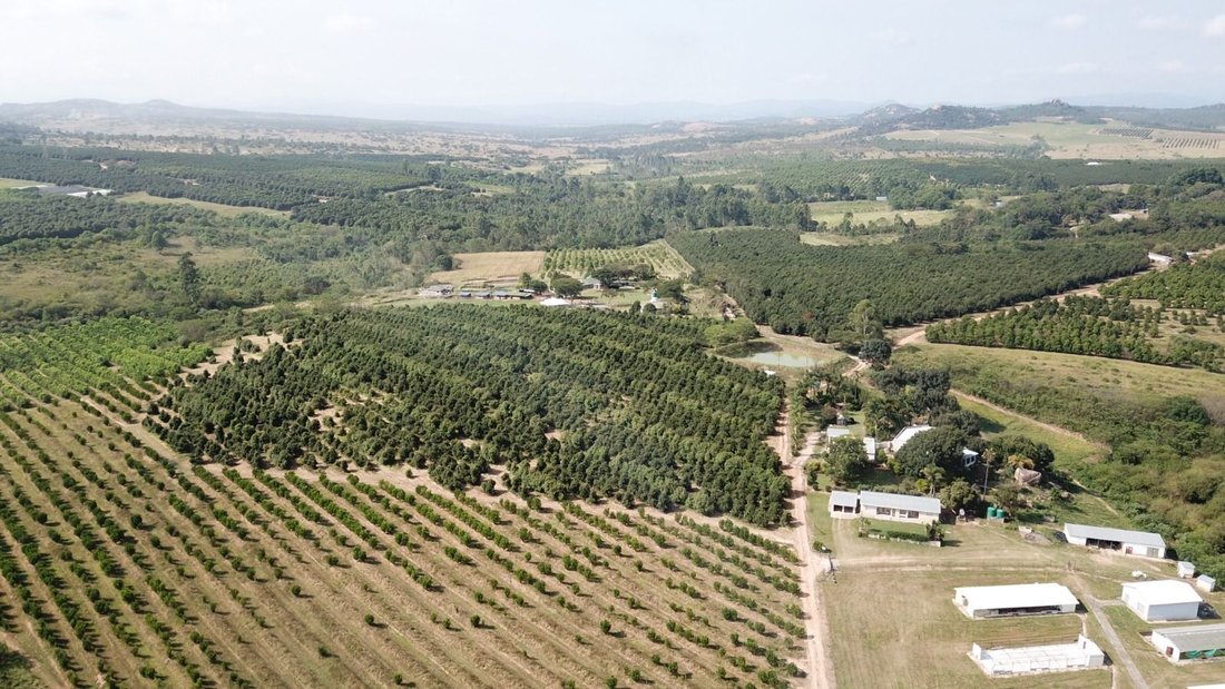Farm Ranch in Johannesburg, Gauteng, South Africa 5 - 17324716