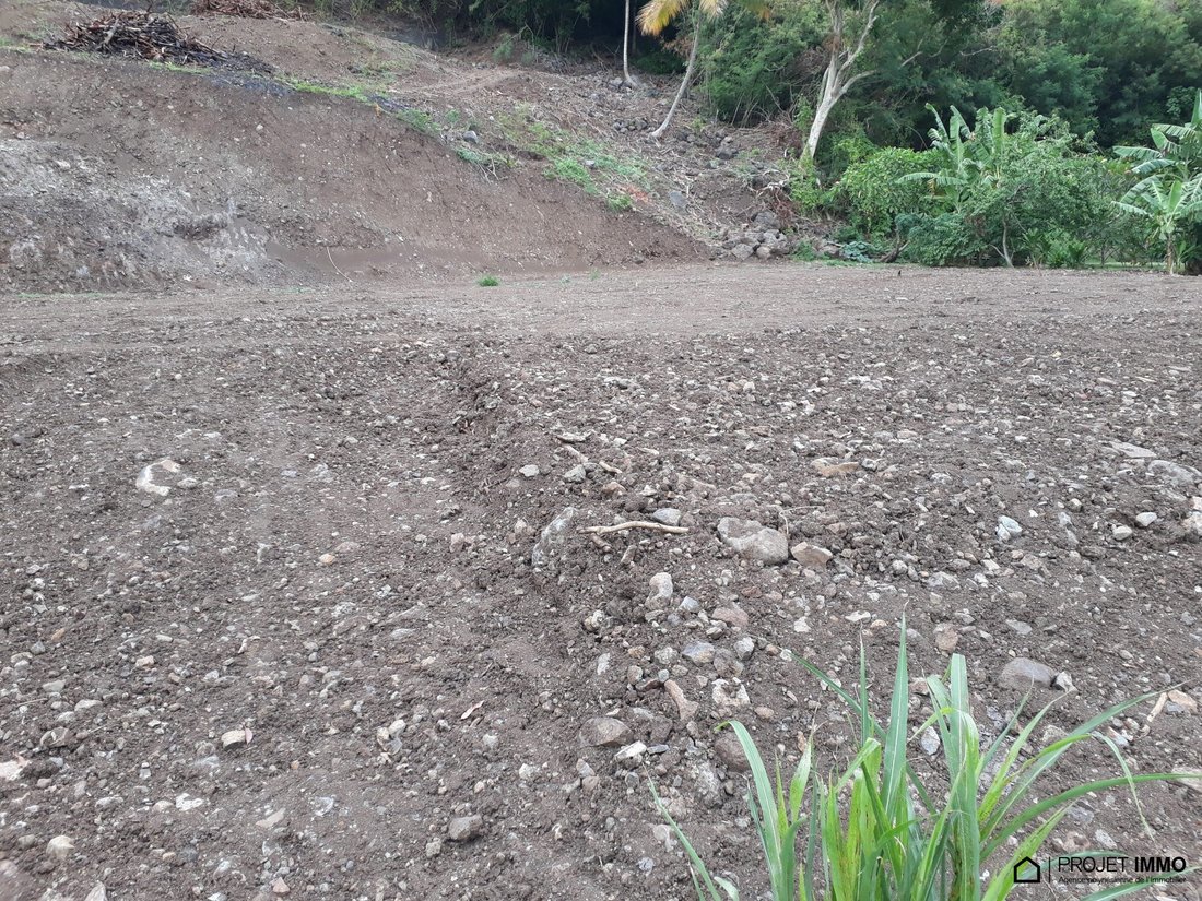 Land in Moorea-Maiao, Windward Islands, French Polynesia 1 - 17328678