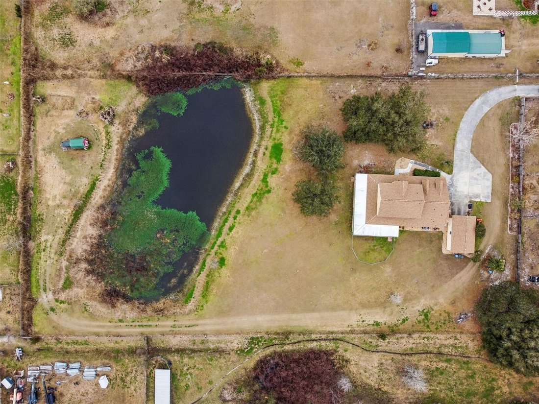House in Plant City, Florida, United States 4 - 17326570