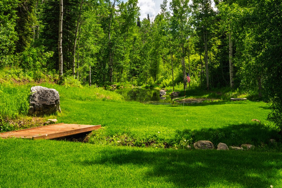 House in Steamboat Springs, Colorado, United States 5 - 17325607