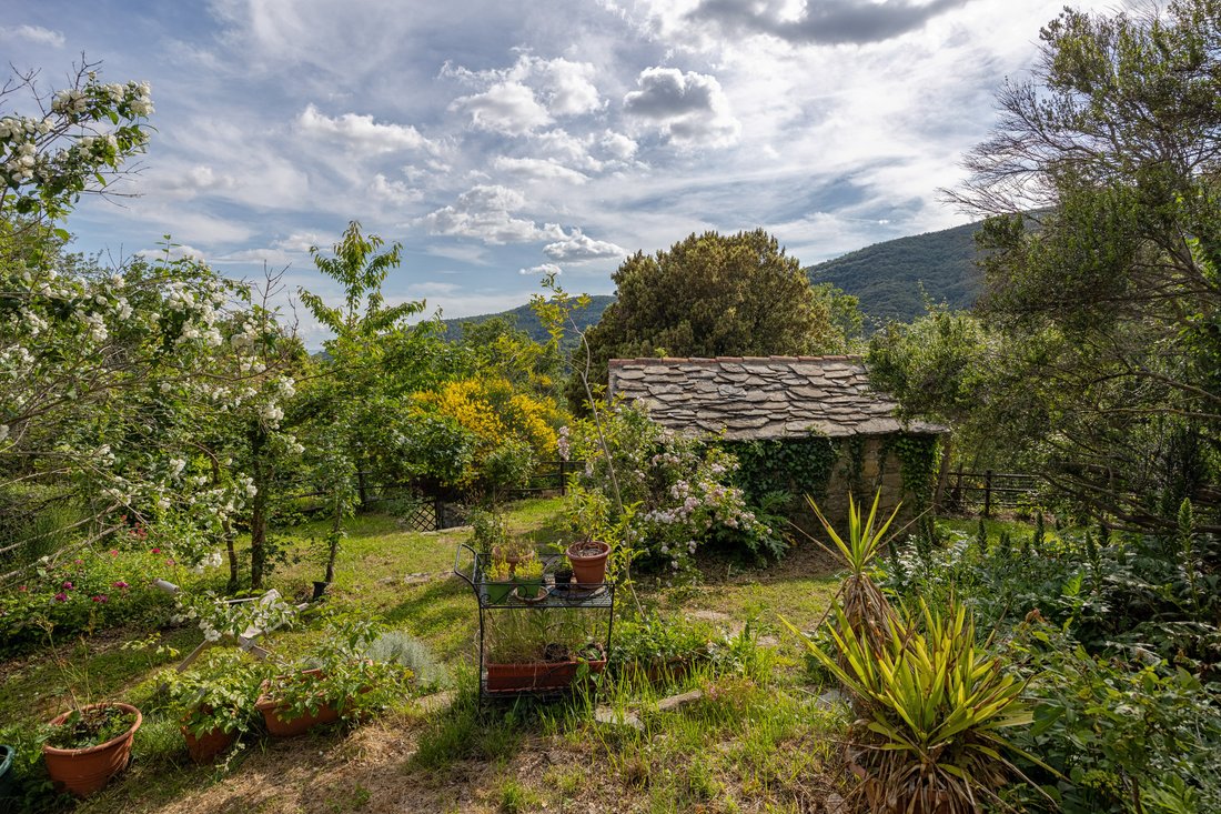 Villa in Center, Cortona, Tuscany 5 - 17325539