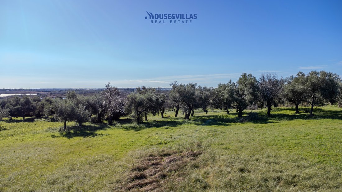 Villa in Riserva di Vendicari - Marzamemi - San Lorenzo, Noto, Sicily 3 - 17330856