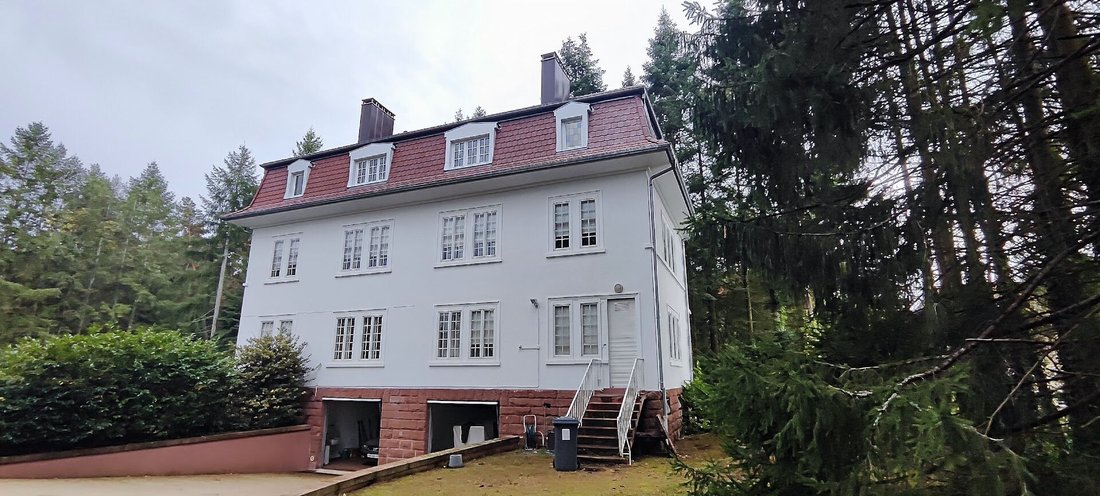 Villa in Bitche, Grand Est, France 1 - 17330601