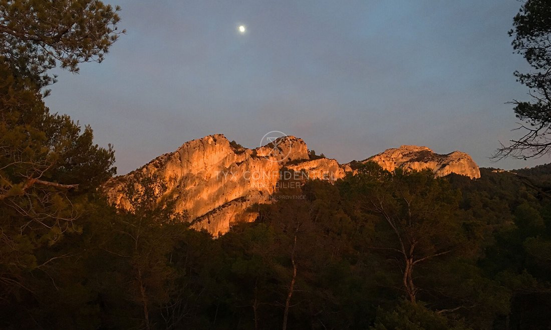Apartment in Saint-Rémy-de-Provence, Provence-Alpes-Côte d'Azur, France 1 - 17330743