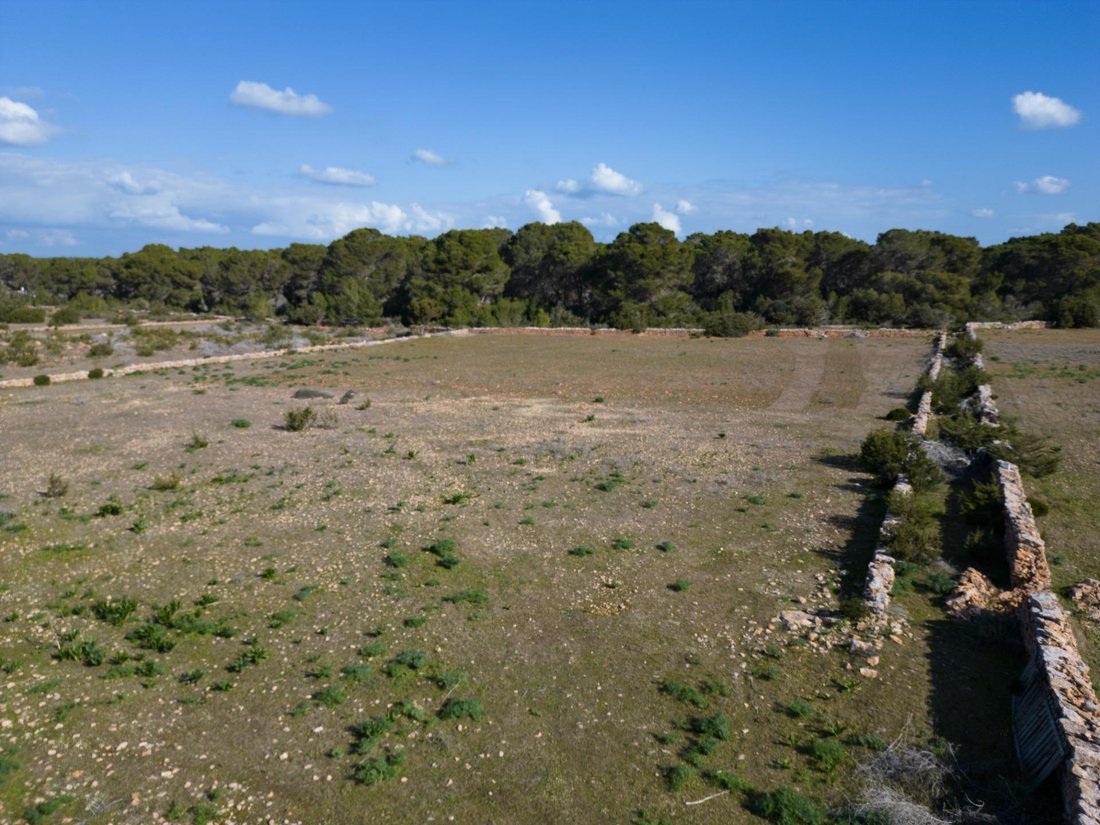 Land in Balearic Islands, Spain 5 - 17331632