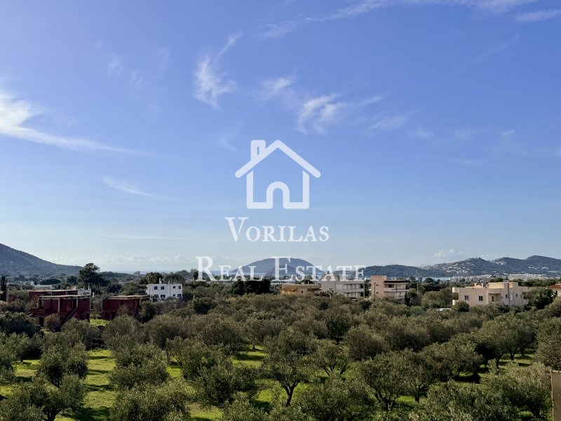 House in Palea Fokea, Attica, Greece 1 - 17331323