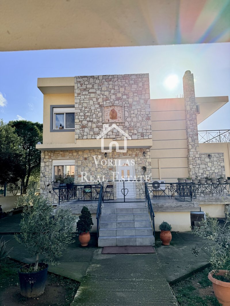 House in Palea Fokea, Attica, Greece 4 - 17331323
