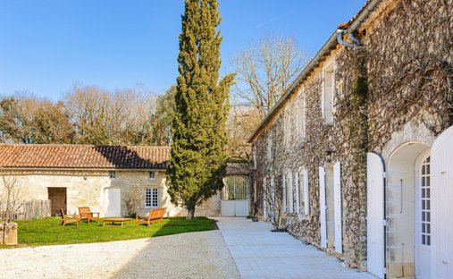 Estate in Saint-Savinien, Nouvelle-Aquitaine, France 1