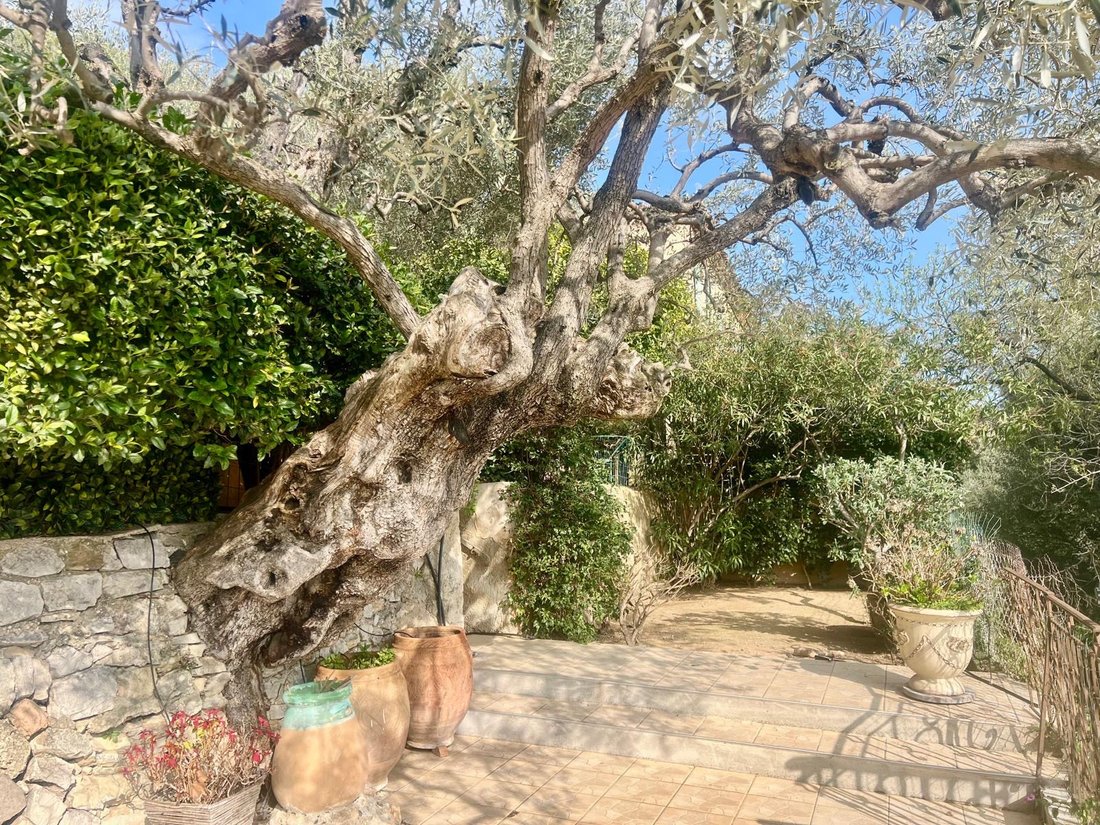 House in Le Revest-les-Eaux, Provence-Alpes-Côte d'Azur, France 3 - 17331952