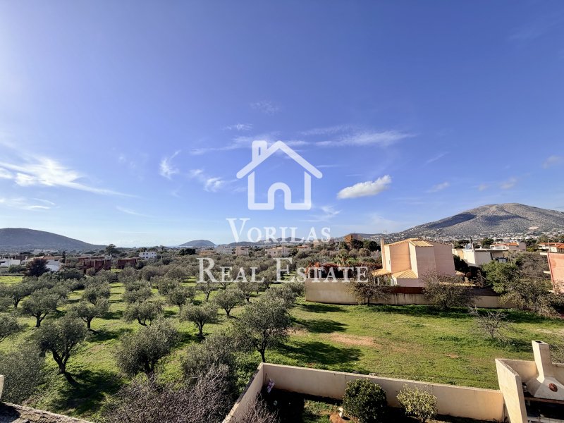 House in Palea Fokea, Attica, Greece 2 - 17331323