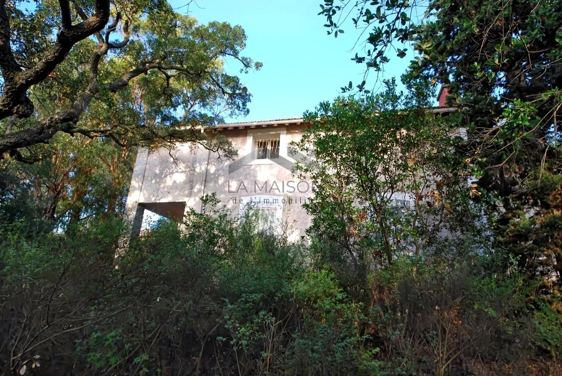Villa in Zonza, Corsica, France 1 - 16844927