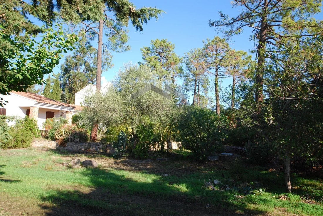 Land in Porto-Vecchio, Corsica, France 4 - 16486174