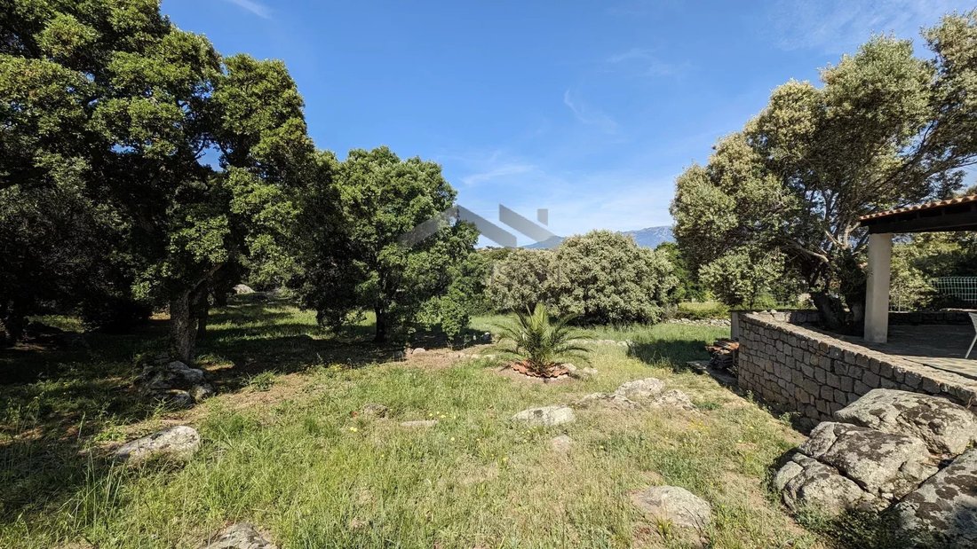 House in Porto-Vecchio, Corsica, France 3 - 15366733