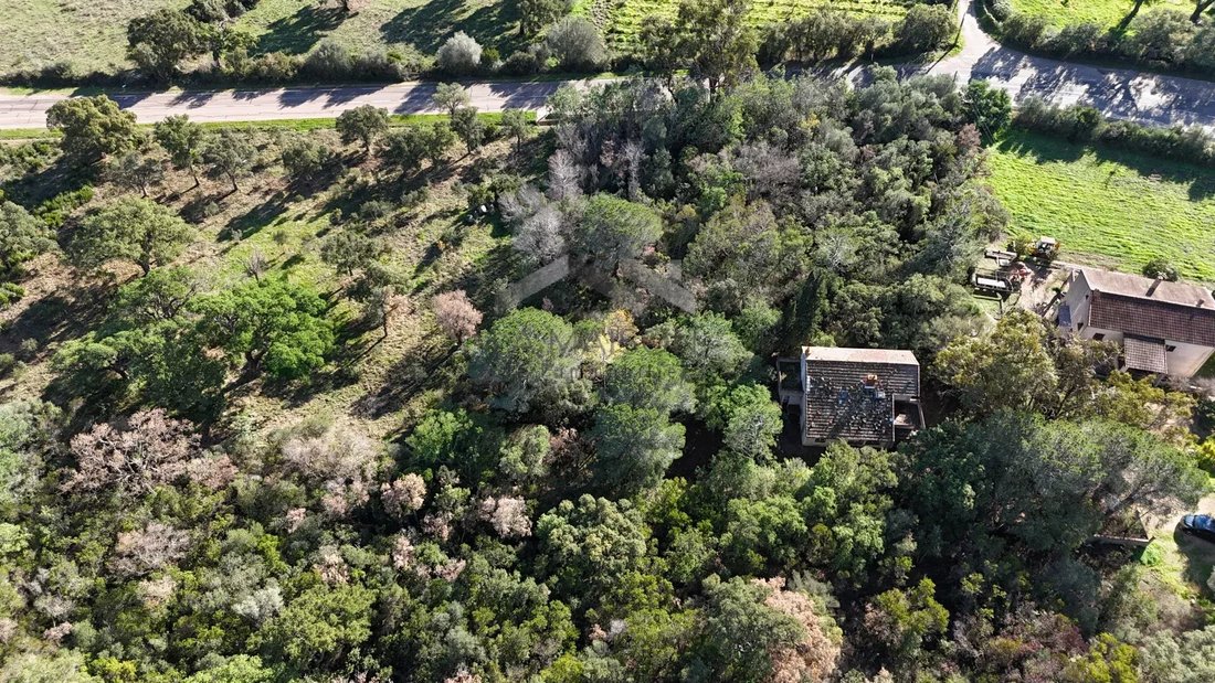 Villa in Zonza, Corsica, France 4 - 16844927