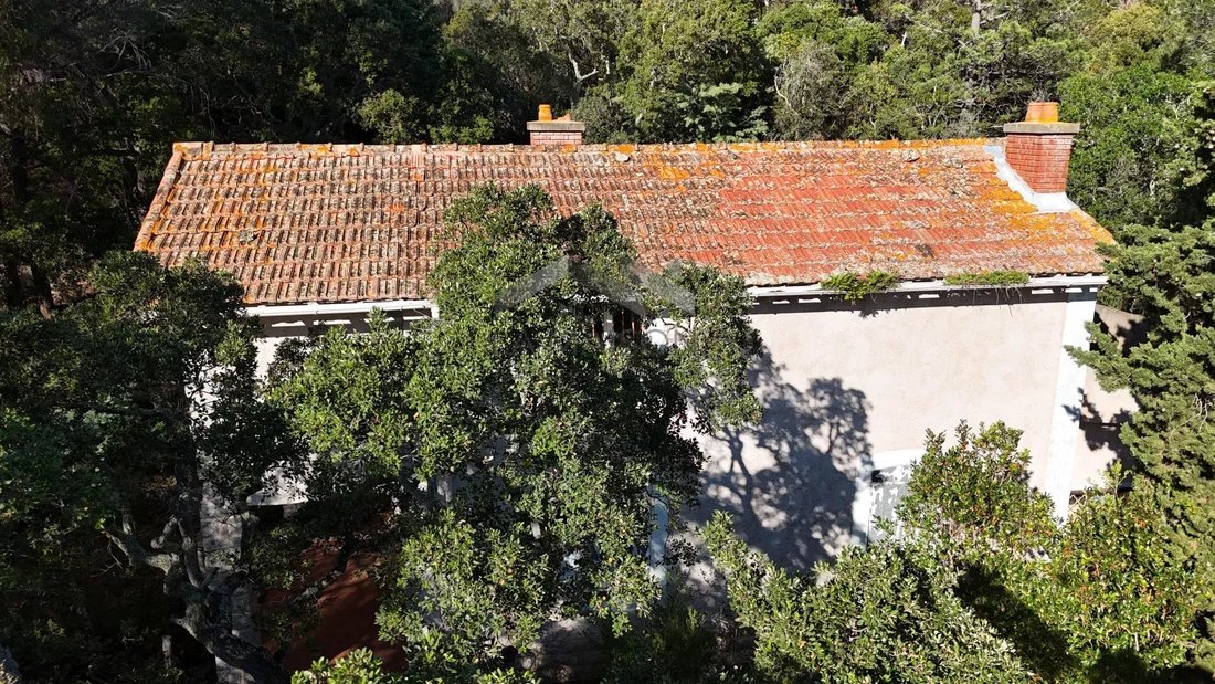 Villa in Zonza, Corsica, France 2 - 16844927