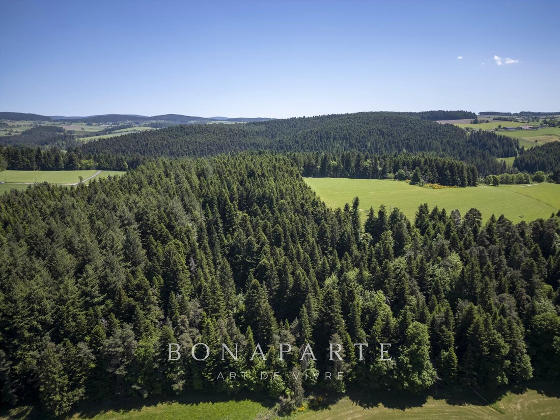 Domaine à Jonzieux, Auvergne-Rhône-Alpes, France 4 - 17152420
