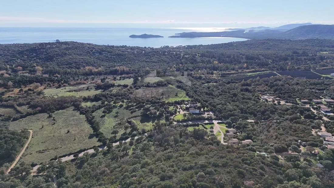 Villa in Zonza, Corsica, France 3 - 16844927