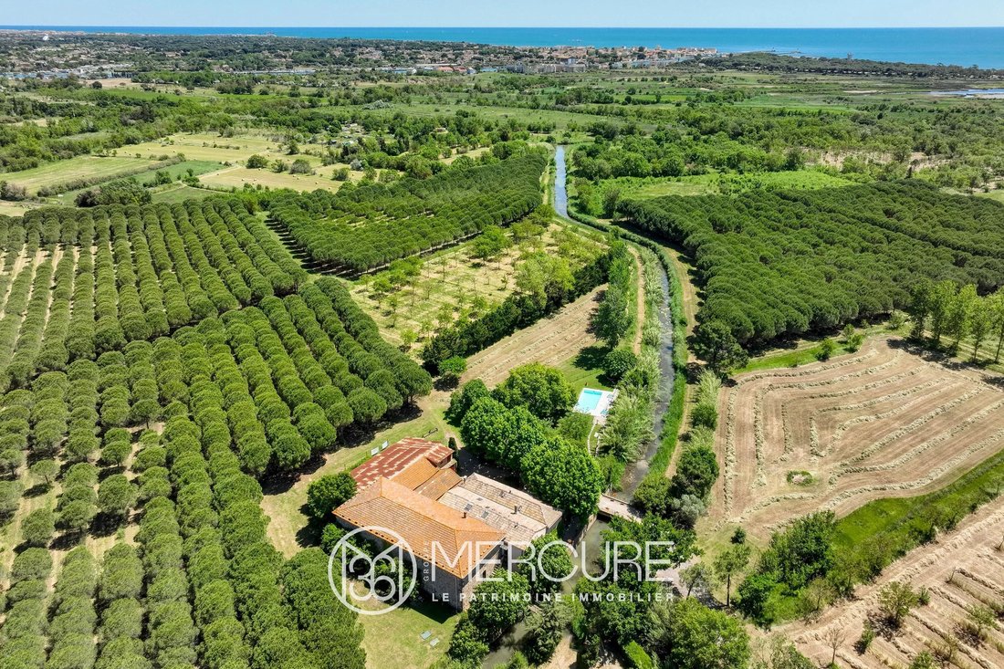Estate in Vias, Occitania, France 1 - 16898065
