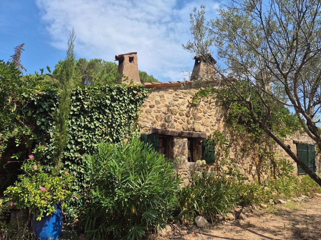 Villa in Le Plan-de-la-Tour, Provence-Alpes-Côte d'Azur, France 2 - 17331331