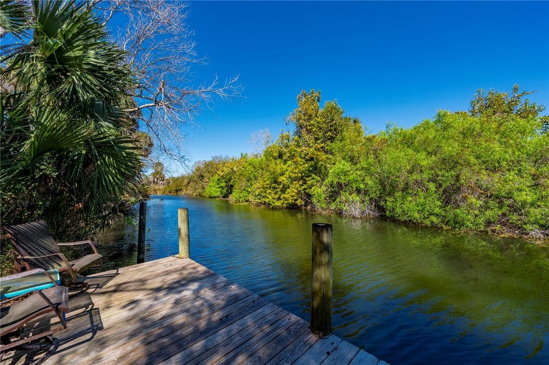 House in Punta Gorda, Florida, United States 3 - 17331092