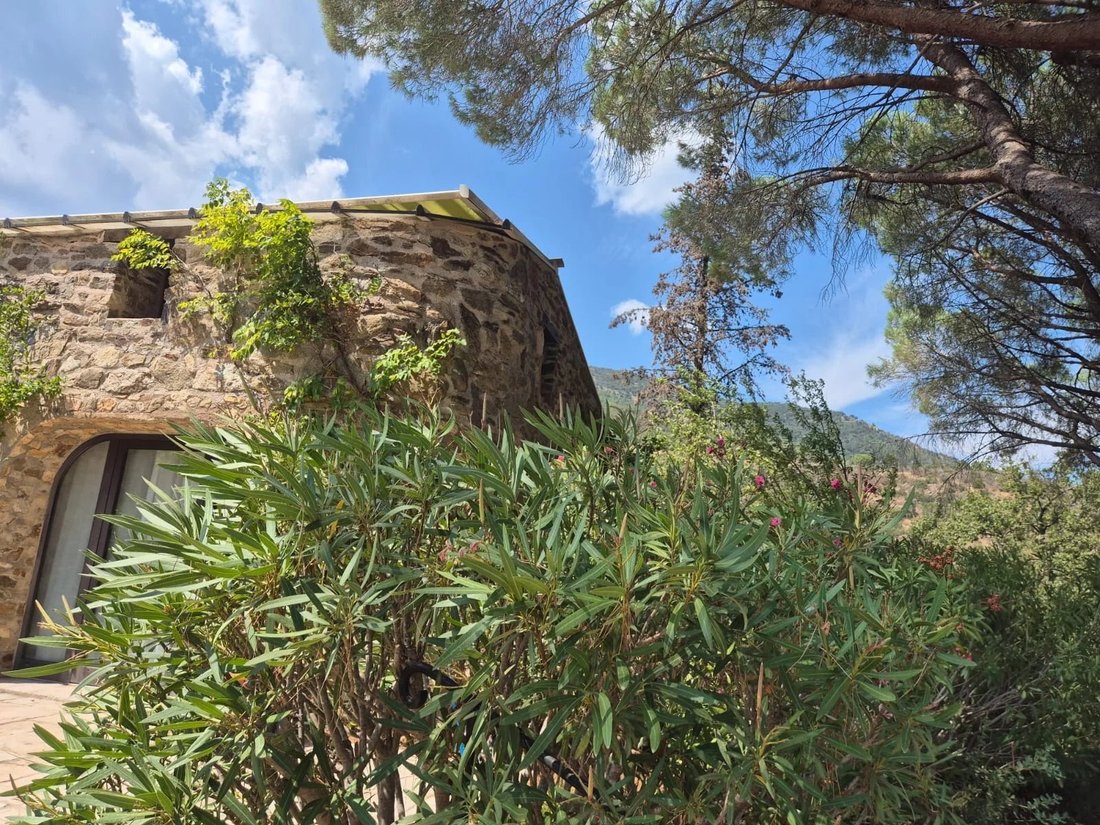 Villa in Le Plan-de-la-Tour, Provence-Alpes-Côte d'Azur, France 4 - 17331331