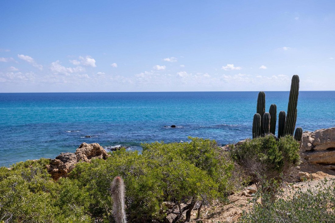 Villa in Los Barriles, Baja California Sur, Baja California Sur, Mexico 4 - 17332520