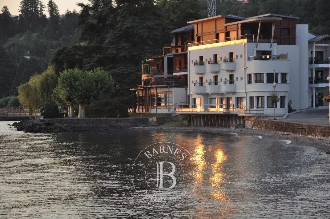 Apartment in Publier, Auvergne-Rhône-Alpes, France 5 - 17335190