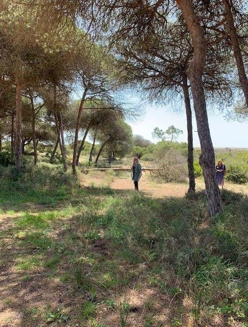 Land in Quinta do Lago, Almancil, Portugal 4 - 17335722