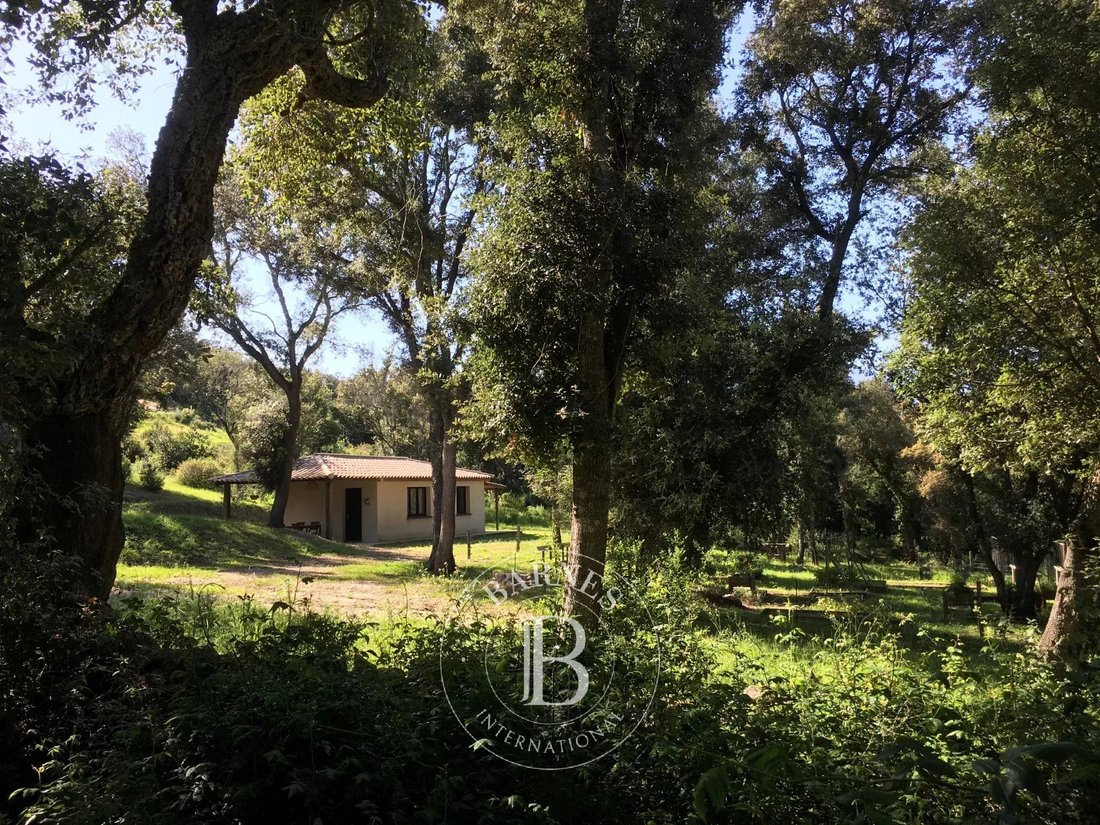 Villa in Porto-Vecchio, Corsica, France 2 - 16296389