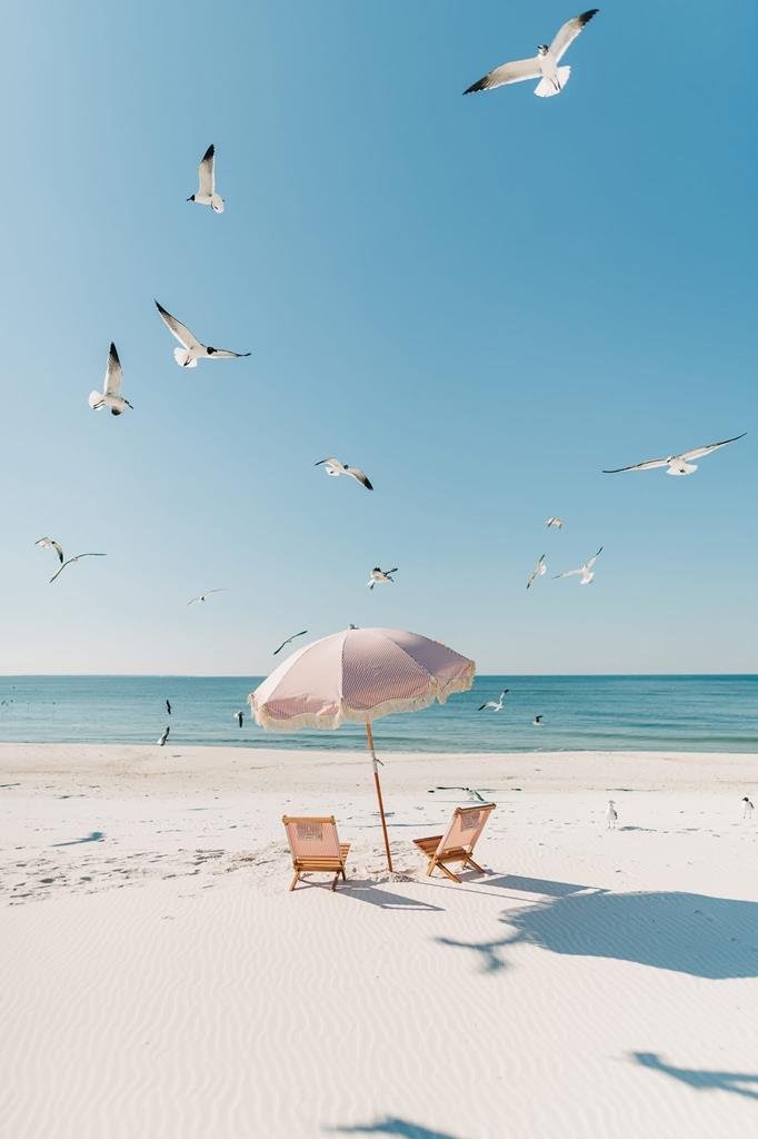Port St. Joe, Florida, United States 3 - 17333216