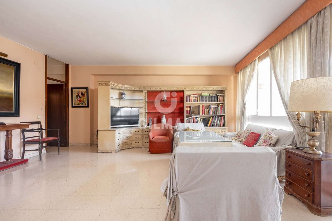 Apartment in Casco Antiguo, Seville, Spain 4 - 17335519