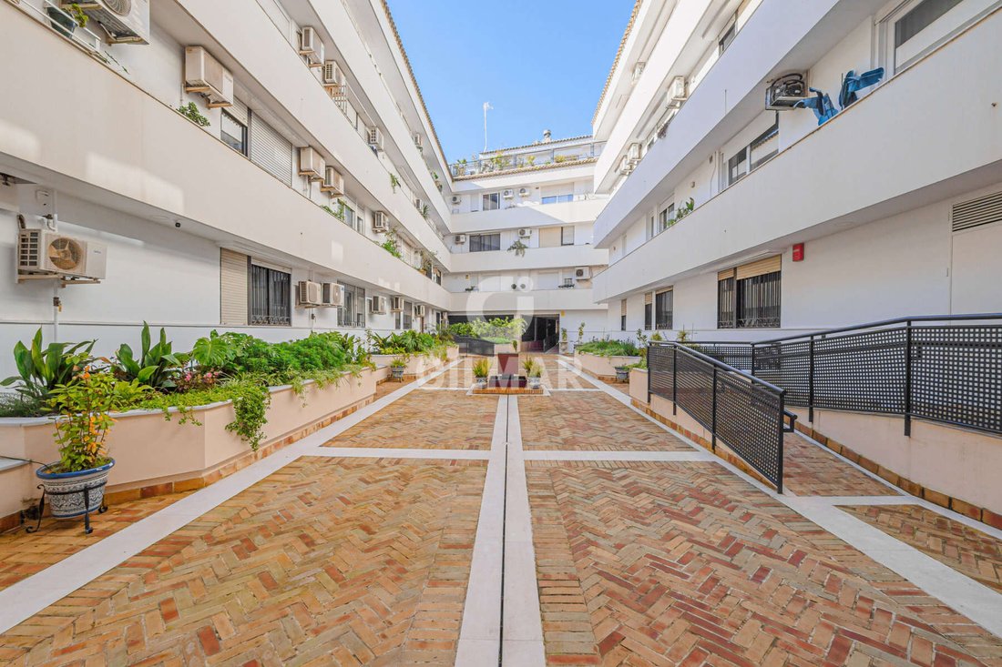 Apartment in Casco Antiguo, Seville, Spain 1 - 17335537