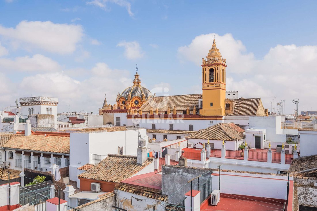 Apartment in Casco Antiguo, Seville, Spain 1 - 17335526