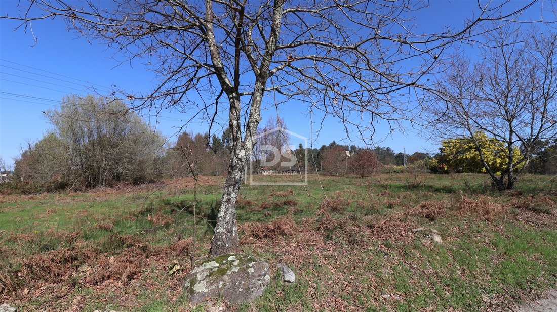 Land in Abraveses, Viseu District, Portugal 3 - 17335741