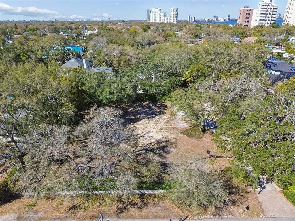 Land in Tampa, Florida, United States 4 - 17336103