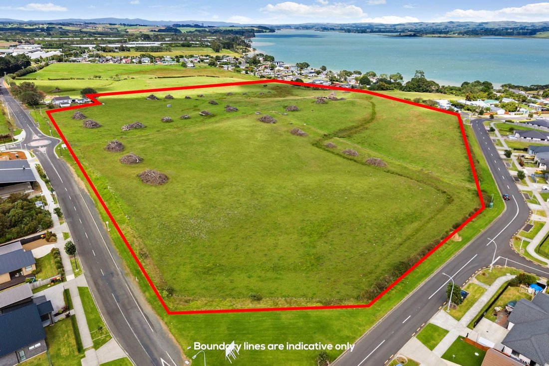 House in Auckland, Auckland, New Zealand 3 - 17336136