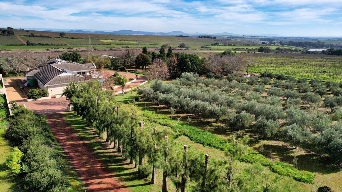 Farm Ranch in Devonvale Golf &amp; Wine Estate, Western Cape, South Africa 5 - 17335154