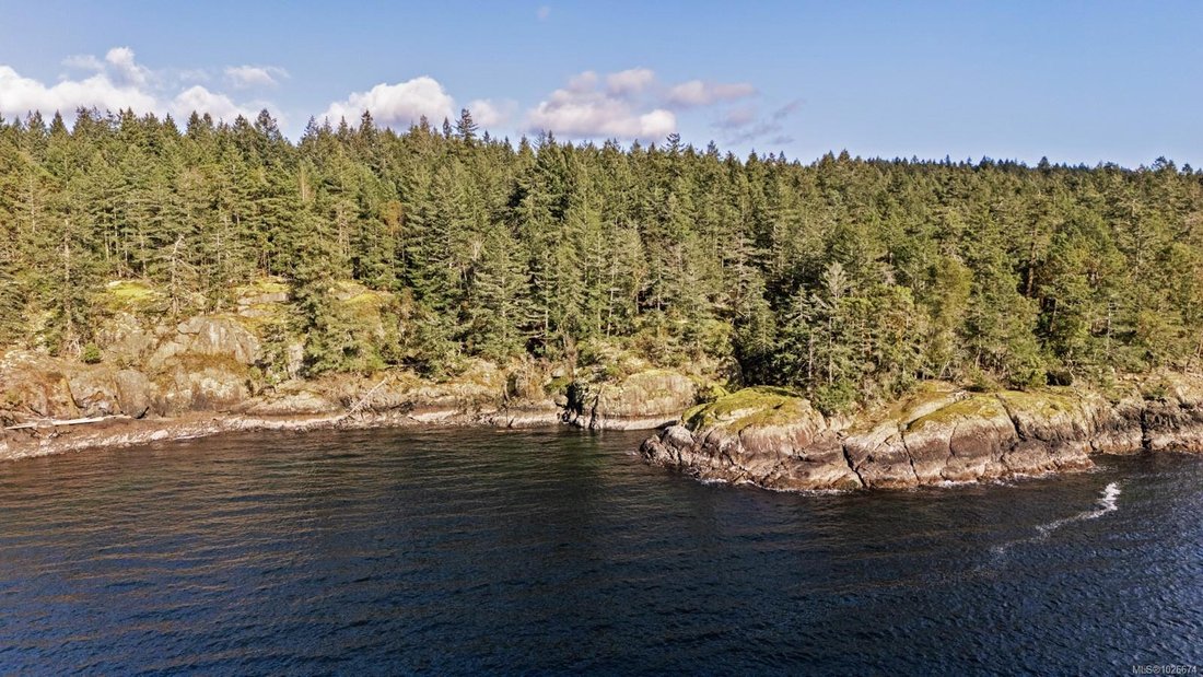 Land in Tofino, British Columbia, Canada 2 - 17335774