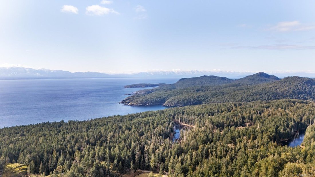 Land in Tofino, British Columbia, Canada 1 - 17335774