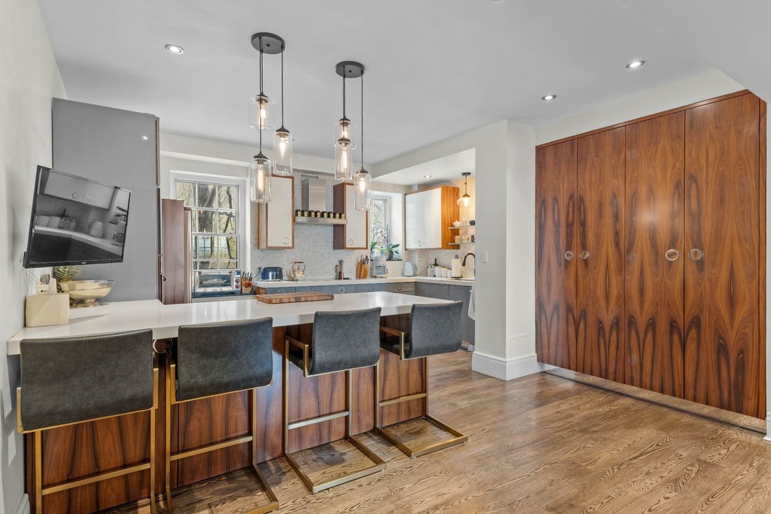 Condo in Montréal, Quebec, Canada 5 - 17334766