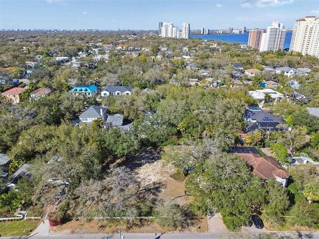 Land in Tampa, Florida, United States 5 - 17336103