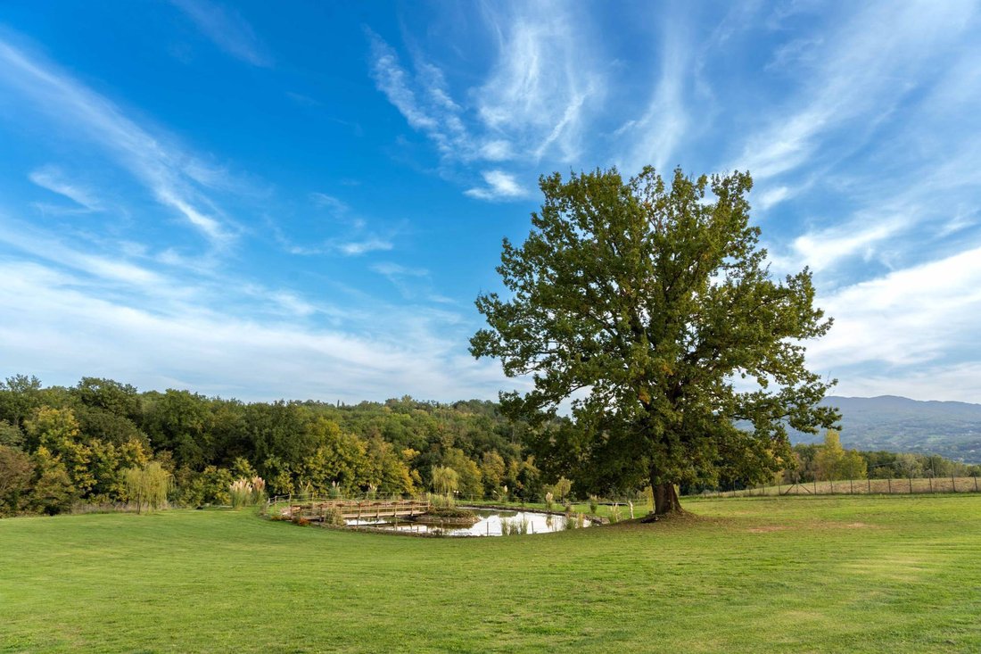 Villa in Vicchio, Tuscany, Italy 5 - 17336029